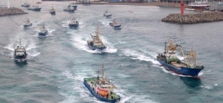 [지속가능海 블루오션] 2. 올림픽 어업에 메달은 없다