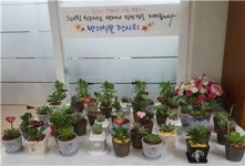 연제구 연산5동, 반려식물 관련 행사로 어르신 웃음꽃 활짝