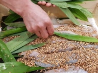 [김해 어방동 대웅회명가] 김해에 알린 부산식 숙성 회·물회