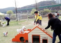 연제구, 반려동물 놀이터 추진