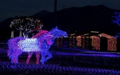 렛츠런파크 부산경남... 일루미아 빛축제 기념경주 시행