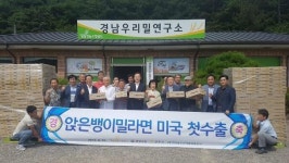 수출길 오르는 국산 토종 앉은뱅이 밀 라면