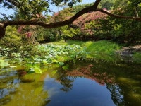 [담양 소쇄원·명옥헌] 청량한 바람·맑은 달빛 품은 선비들의 정원