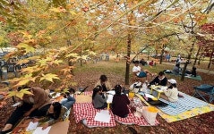 박수근미술관, 전국학생사생대회 개최