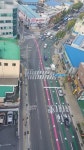 금정구, 부산 최초 도심지 컬러유도선 설치로 한가위 안전운행 GO GO~