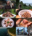 한국인의 밥상 포항 모리국수&성게톳밥-경주 멸치통말이무침-울산 고래고기…최불암 진행