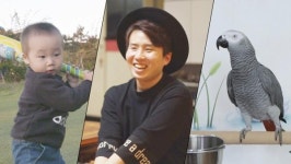 세상에 이런일이 21개월 야구 신동-말하는 천재 앵무새 똘이-컴퓨터 그래픽으로 마법 부리는 대학생