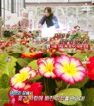 서민갑부 아르헨티나 화훼농장 갑부, 세상의 끝 우수아이아 비베로 로스 꼬레아노