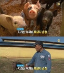 생방송 오늘 저녁 수상한 가족, 지리산 부자의 흑돼지 순정…곡성 바우정육점