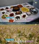 생방송 오늘 저녁 팔도미식로드, 전남 순천만 정문식당…꼬막정식&짱뚱어탕