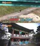 세상에 이런일이 혼자 애견 카페 놀러 가는 강아지-파쿠르 청년-20년 800개 인형수집가