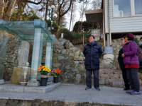 [황금돼지의 섬, 돝섬] 복돼지 만지고 가면 복되지!