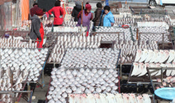 [포토뉴스] 따뜻한 겨울 햇살의 ‘맛’