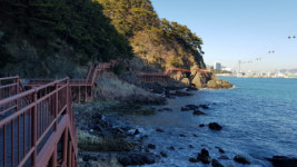 [송도 해안 볼레길] 느껴 볼래, 숲바람 걸어 볼래, 바닷길