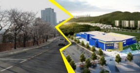 ‘기장’ 뜨고 ‘달맞이’ 지고… 길이 가른 희비