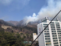 사하구 당리동 승학산 5부 능선서 불…진화 중