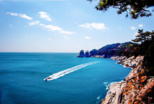 동백섬 거제 지심도 배경 사진 촬영 대회 열린다