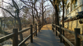 [고종의 길, 정동길] 정동길 저 끝에도… 구한말 역사의 아픔