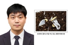 동아대 출신 공현기 박사 제1저자 활약, 꿀벌해충에서 플라스틱 분해 실마리 찾은 연구결과 발표
