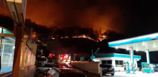 부산 해운대 산불 3번째 재발화 이어 기장군 남대산도 불…진화 총력