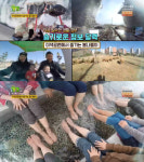 2TV 생생정보 시흥 갯골생태공원-충주 수안보 족욕체험장-인천 늘솔길공원 양떼목장&편백숲…슬기로운정보달력