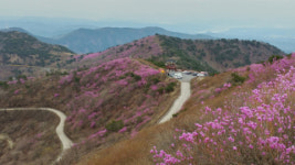 [분홍빛 도깨비 마을 의령 한우산 숨길] 걷는 재미 나와라 뚝딱!