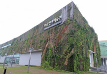 부산현대미술관 수직정원 살리기 ‘딜레마’