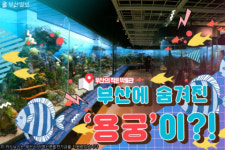 부산해양자연사박물관 비상급수시설 | [부산의 작은 박물관-① 해양자연사박물관] 부산에 숨겨진 '용궁'이 있다고?