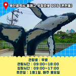 부산해양자연사박물관 비상급수시설 | [부산의 작은 박물관-① 해양자연사박물관] 부산에 숨겨진 '용궁'이 있다고?