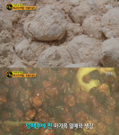 생활의 달인 맛절미 달인, 인천 부평 성심떡집…오늘방송맛집