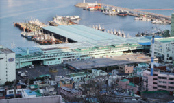 부산공동어시장 공영화 사실상 확정