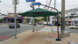 창원 횡단보도 87곳 파라솔 그늘막 등장