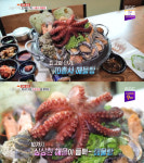 생방송 오늘 저녁 10총사 해물탕, 제주 한림읍 해녀세자매…대박청춘(오늘방송맛집)