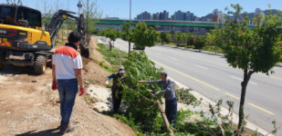 부산대 양산캠퍼스 ‘시민의 숲’ 나무 심기 본격화