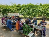 대연3동 어르신과 함께하는 풀밭 위의 점심식사