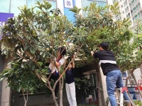 구서1동제(製) 건강효소 나눠요