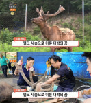 생방송 오늘 저녁 엘크사슴으로 이룬 대박의 꿈, 원주 문막읍 선진사슴방목장…시골 부자