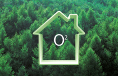 집 안에 숲을 들이세요