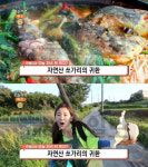생방송 오늘 저녁 자연산 쏘가리, 단양 가곡면 나루터민물식당…한별이의 뭐 먹지?(오늘방송맛집)