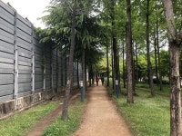 북구, 경부선 철로변 기찻길 숲속 힐링 산책로 재단장