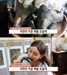 생방송 오늘 저녁 백봉오골계백숙, 경산시 용성면 봉림농원…오늘뭐먹지(오늘방송맛집)