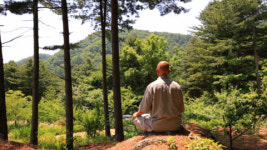 한국기행 이곳은 신선동, 집으로 가는 길… 황장산·울진 불영 계곡