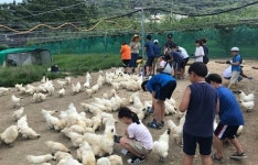 부산 남구 2019년 와글와글 농장체험 실시