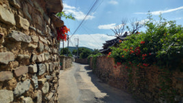 [경남의 숨은 여행지 고성] 이제야 봤네, 공룡같이 거대한 고성의 매력