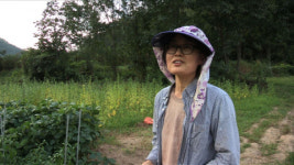 다큐멘터리3일 경북 상주 봉강공동체 언니네텃밭 72시간… 16명 여성 농민의 눈물&땀