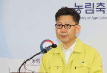 [속보]경기도 파주서 아프리카 돼지열병 국내 첫 발생