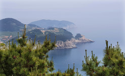 태풍  타파 영향 통영 욕지도 초등학교 등 3곳 휴업