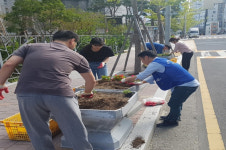 수영구 광안2동 바르게살기운동위원회, 가을초화 식재 및 환경정비 활동