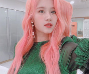 사나 SNS, 핑크머리도 찰떡 인형이야? 사람이야?