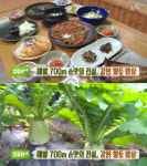 생방송투데이 강원 향토밥상, 평창 봉평면 흔들바위…고수뎐(오늘방송맛집)